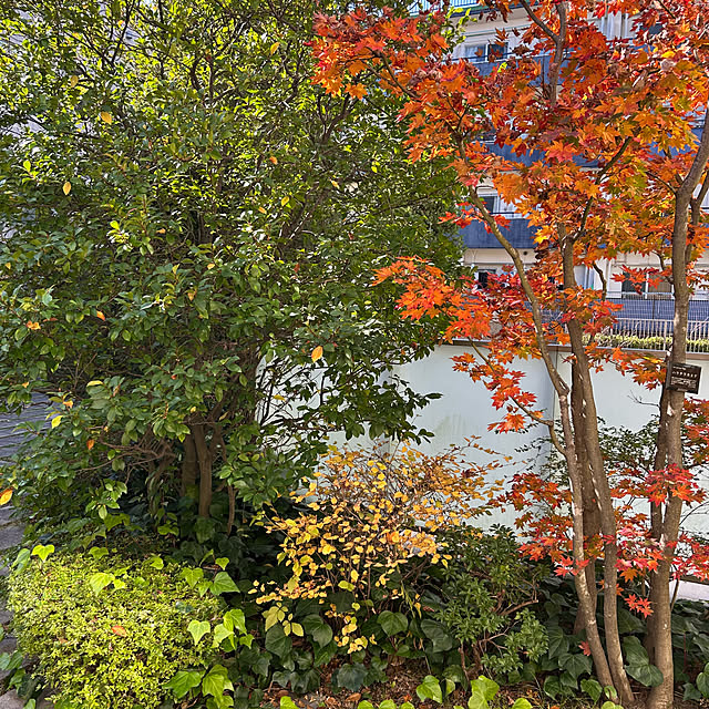 happy-sachiさんの部屋