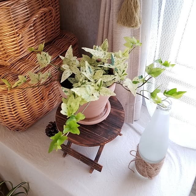 midoriさんの部屋