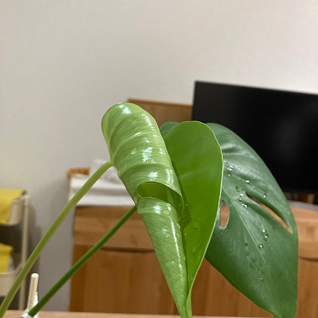 Tsunanさんの部屋