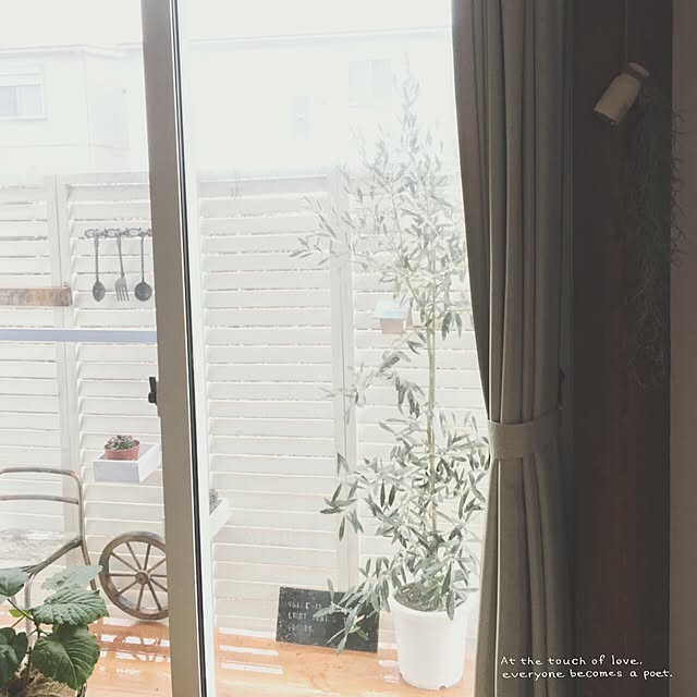 tomoさんの実例写真