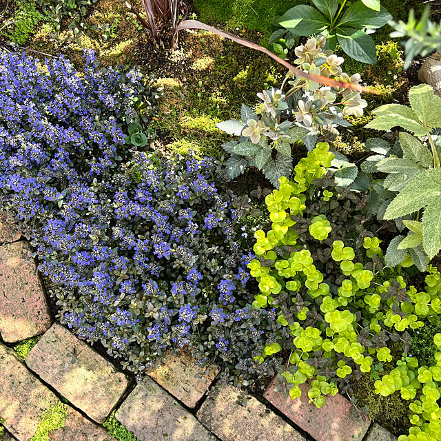 kyoko1124koさんの実例写真