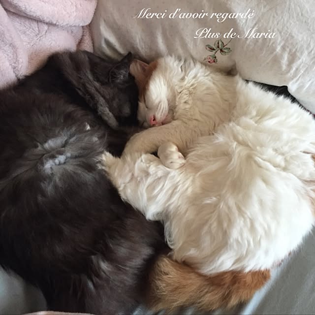 maria.rさんの実例写真