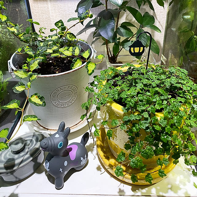 11akoko08さんの実例写真