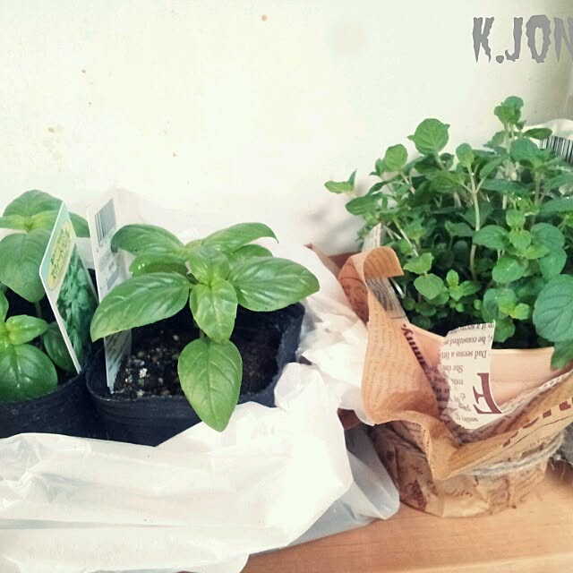 k.jonさんの実例写真