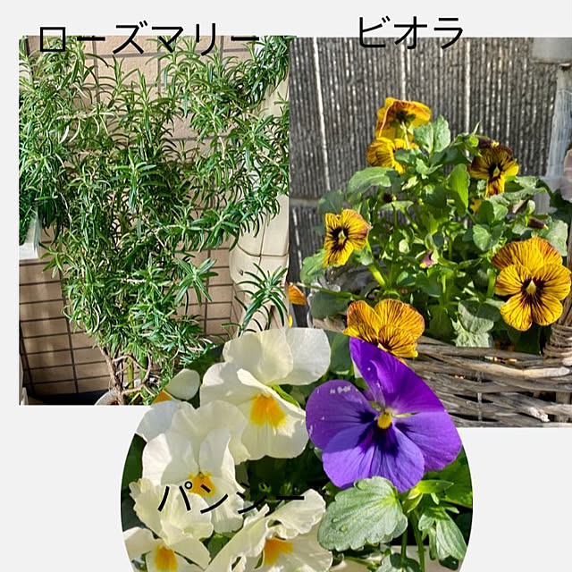 YuuKoさんの実例写真