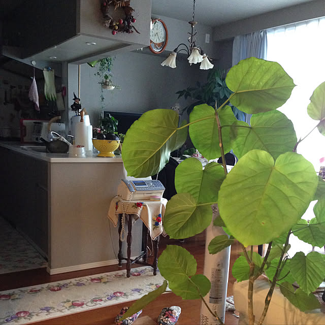 saraminさんの実例写真