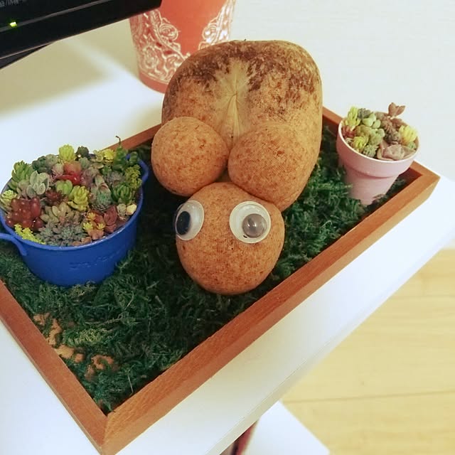chikaさんの実例写真