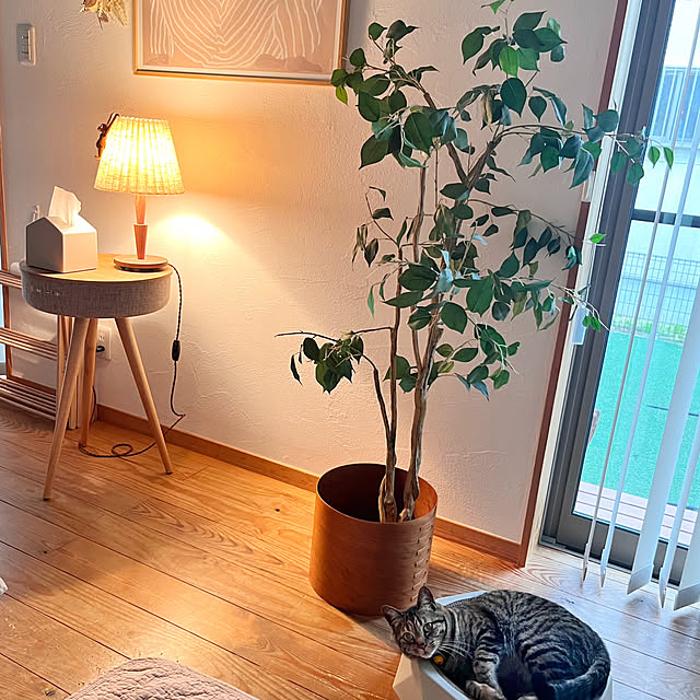 puu.tuuliさんの部屋