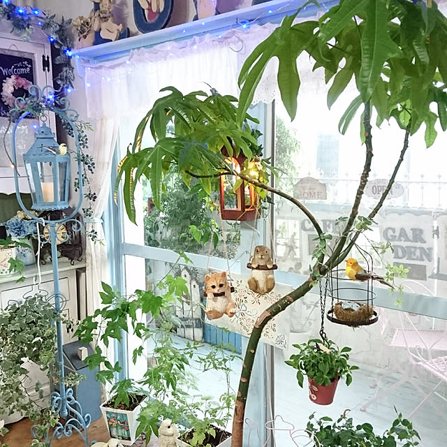ruruさんの実例写真