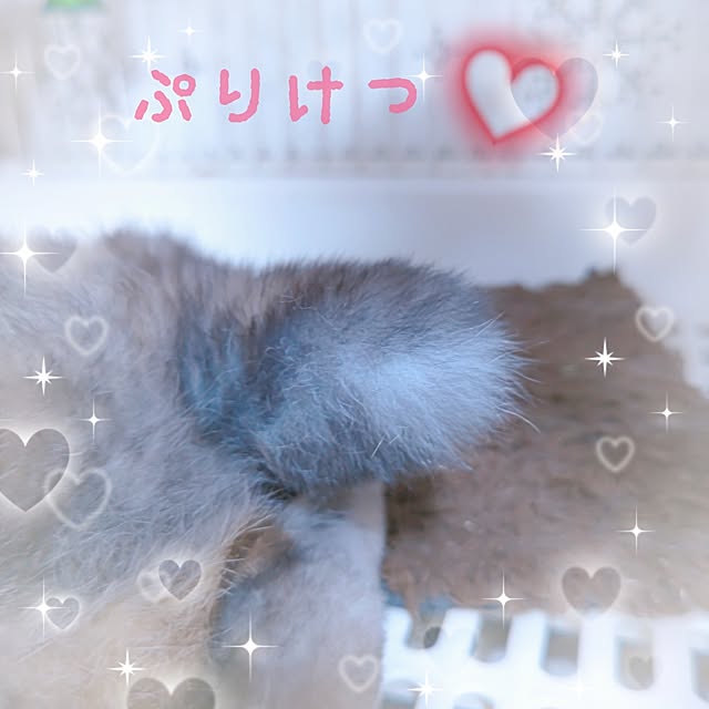 mariaさんの実例写真