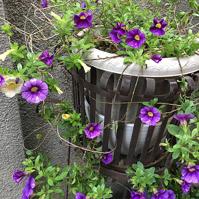 akkoさんの実例写真