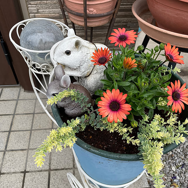 ronronさんの実例写真