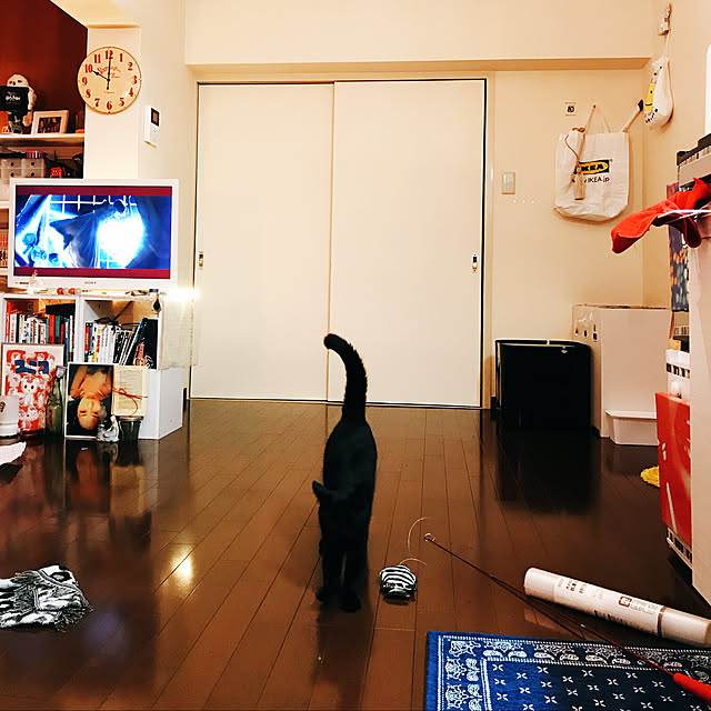 Machiさんの実例写真
