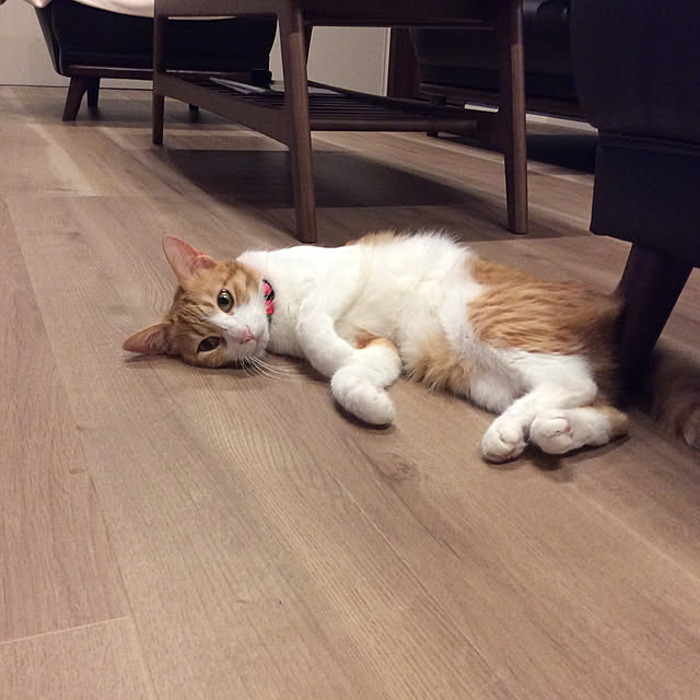 houenさんの実例写真