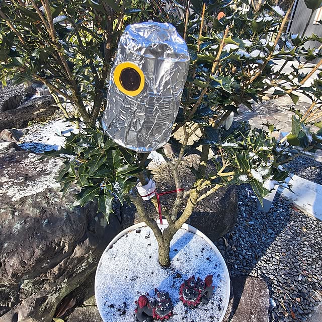 Rubiconさんの部屋