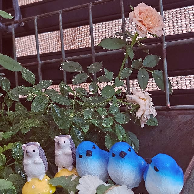 mocomocoさんの実例写真
