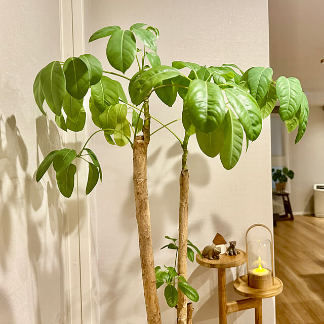 mocoさんの部屋