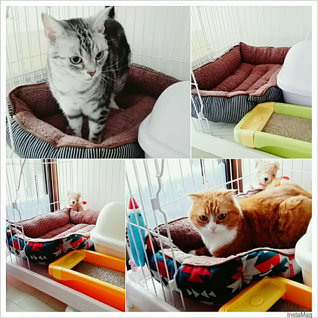 kumingさんの実例写真