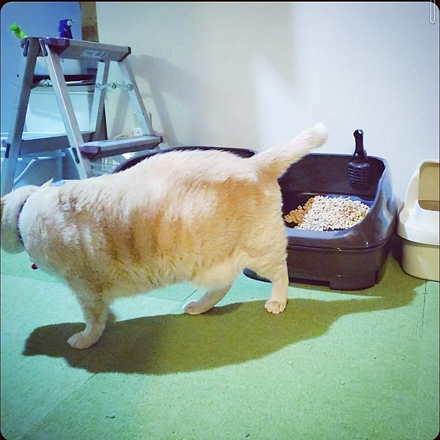 mntcさんの部屋