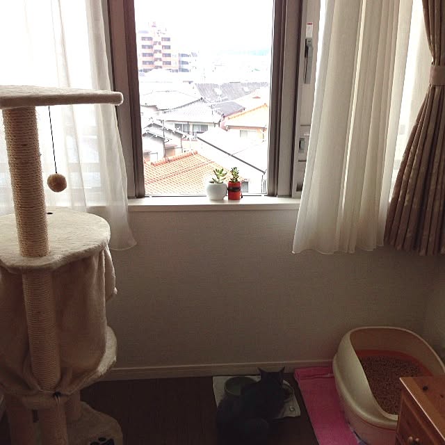 toshiさんの実例写真