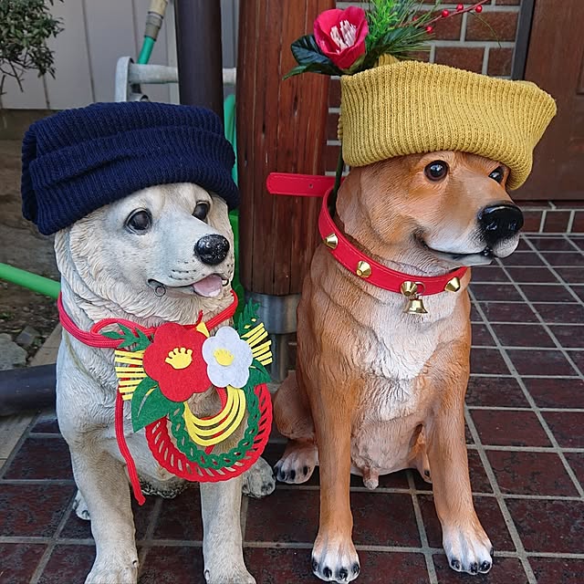 NOAHさんの実例写真