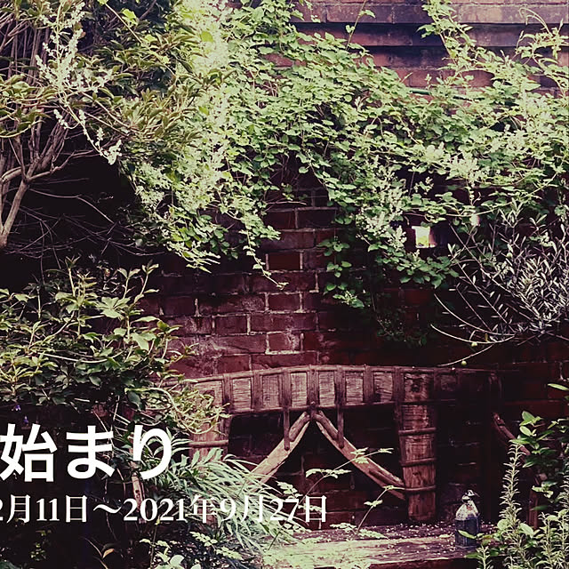 mさんの実例写真