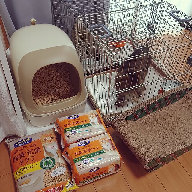 noguriさんの部屋
