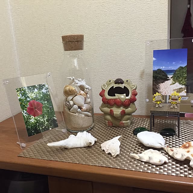 durrell_wildlifeさんの実例写真
