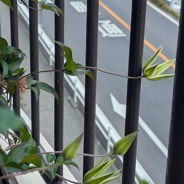 mi-saさんの実例写真