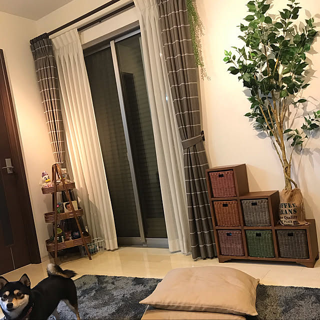 Achikoさんの実例写真