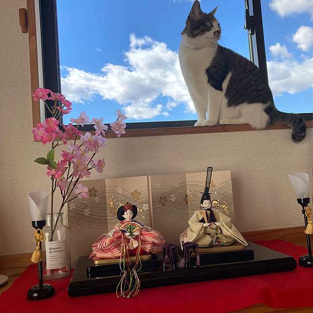 Renさんの実例写真
