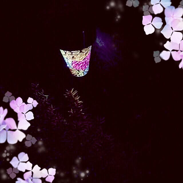 実例写真
