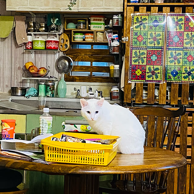 SHIHOさんの実例写真