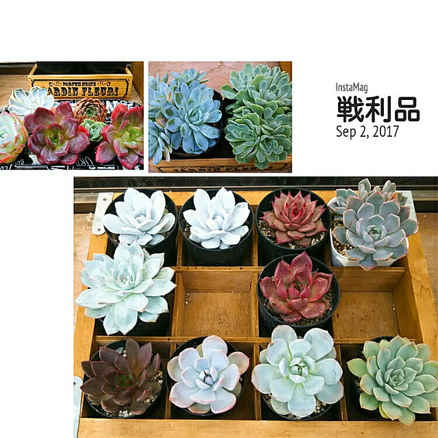LittleMyさんの実例写真