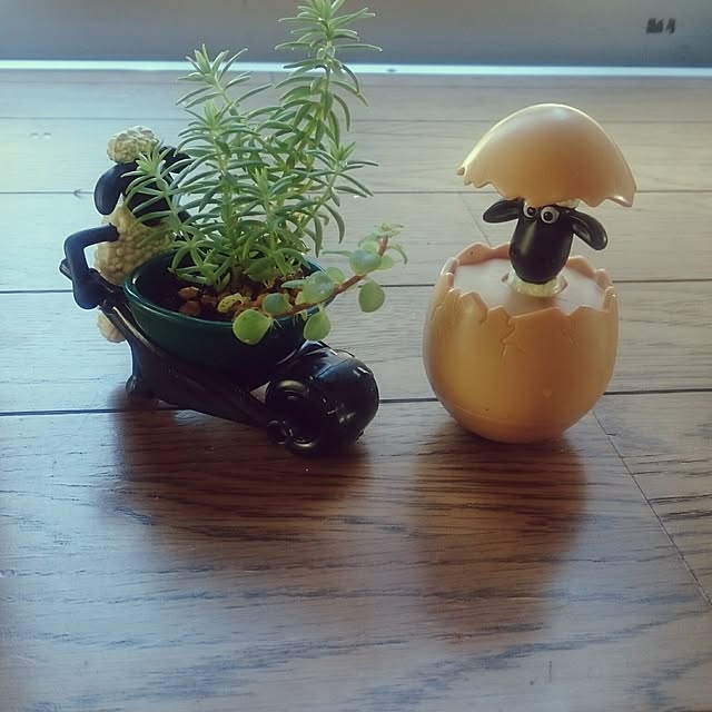 matutotibimatuさんの実例写真