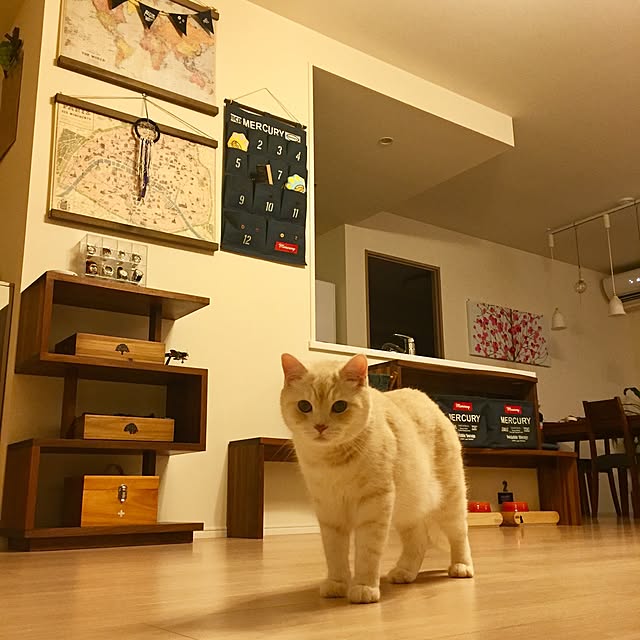 y.k.0123さんの実例写真