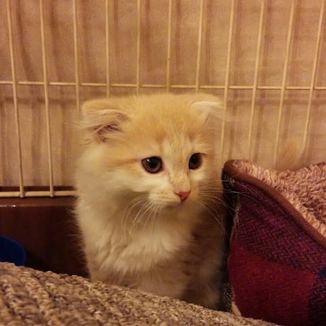 yuさんの実例写真