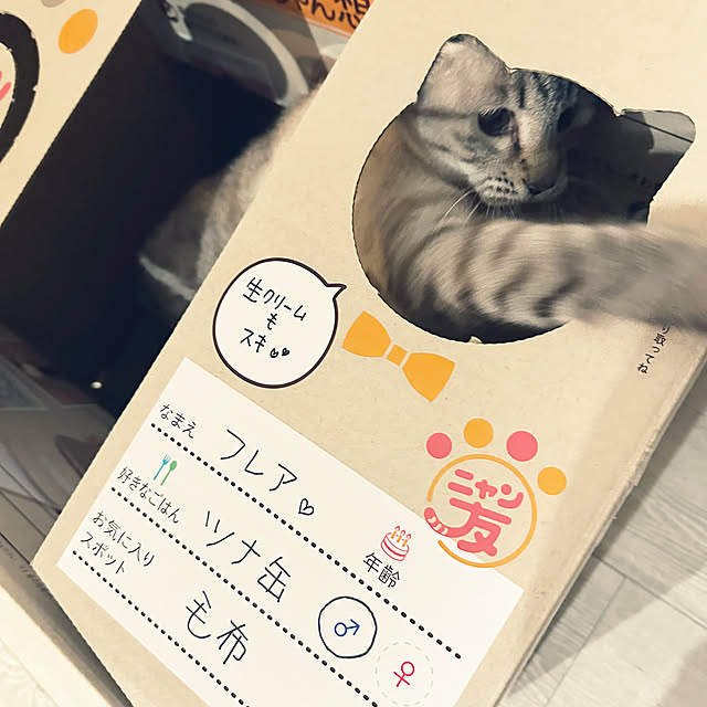 mieさんの実例写真