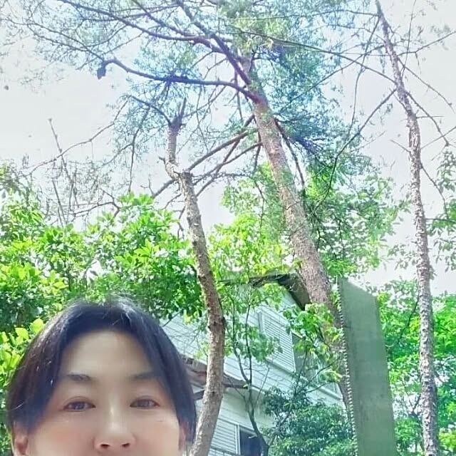 weさんの実例写真