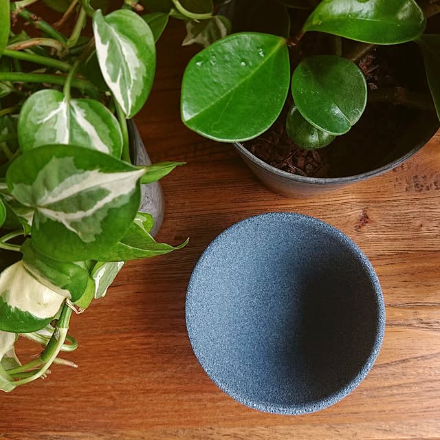 Mi-koさんの実例写真