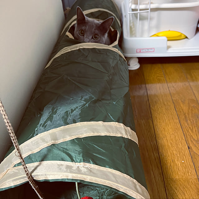 kyonさんの実例写真