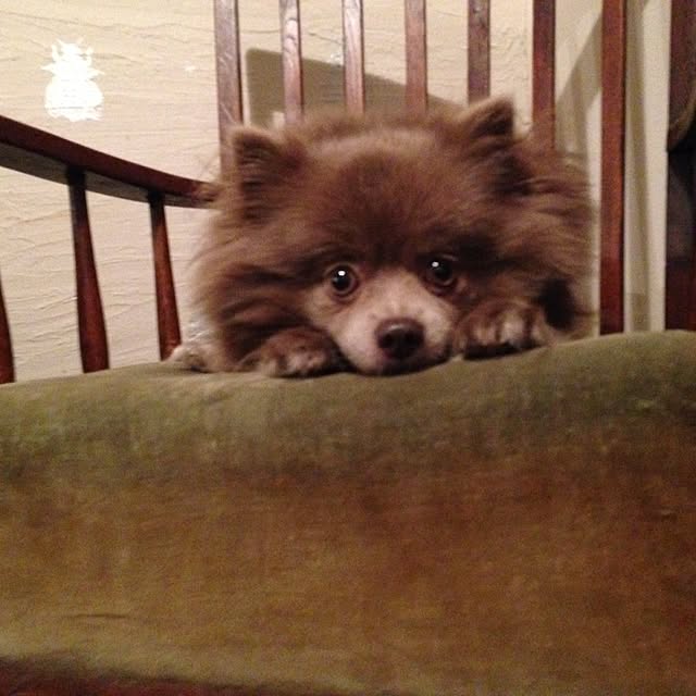 yumenoさんの実例写真