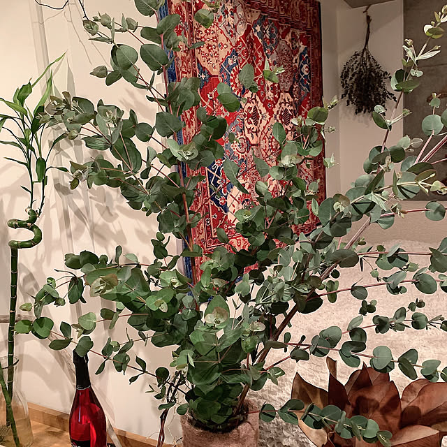 olive18さんの実例写真