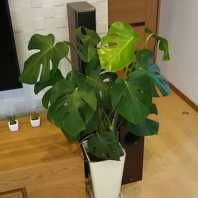 hilkoさんの実例写真