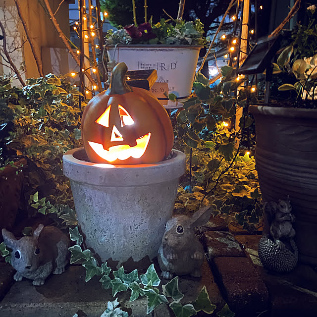 millさんの実例写真