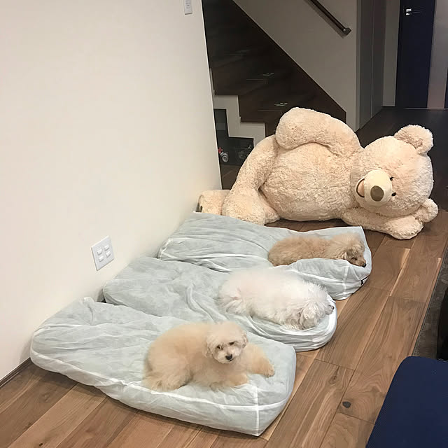 fuafuaさんの実例写真