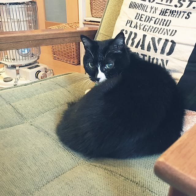 buchikoさんの実例写真