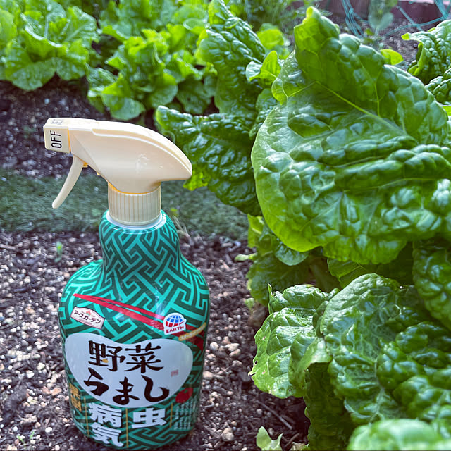 seiさんの実例写真