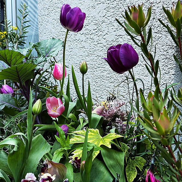 DAYONEさんの実例写真