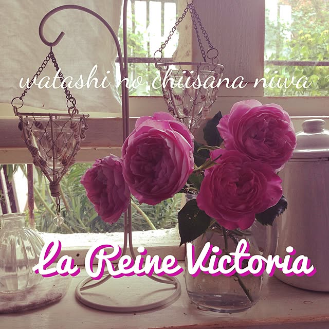 popoさんの実例写真